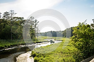 Stream through marsh field