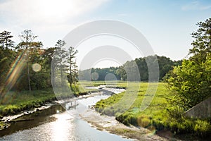 Stream through marsh field