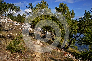 Winding trail on grassy shore of bay of Lake Baikal. Green coniferous trees on hill, mountain. Autumn.