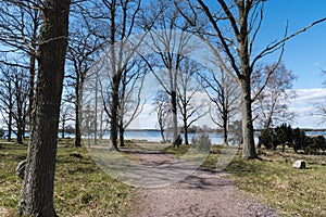 Winding walkway by seaside