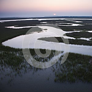 Winding water in marsh.