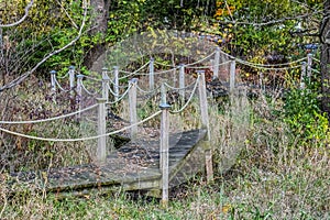 Winding Wooden Boardwalk, Overgrown Garden