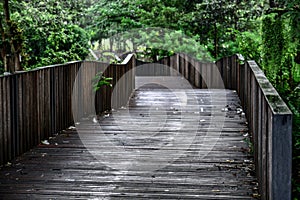 Winding wooden bridge Amidgt