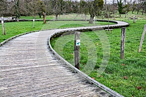 Winding wooden bridge walkway over green grass with sign: dogs on leash