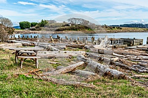 Windjammer Park Landscape 2