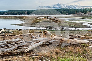 Windjammer Park Landscape 3