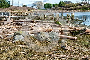 Windjammer Park Landscape 4