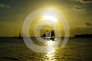 Windjammer sails under Golden Sunset