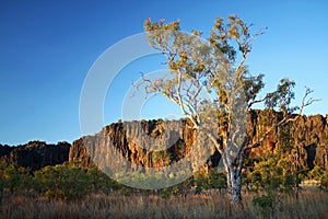 Windjana Gorge, Kimberley