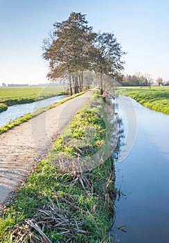 A windless autumn day at a narrow river