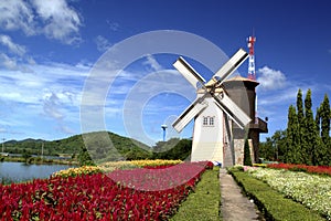 Windmil in the garden
