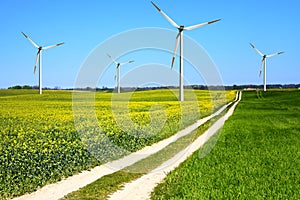 Windmill photo