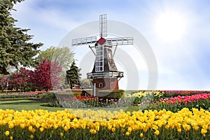 Windmill photo