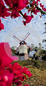 Windmill