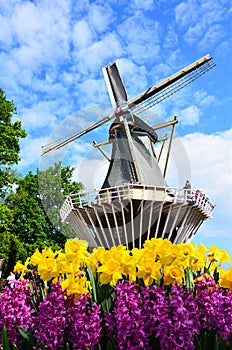 Windmill against blue skies and Floral Display