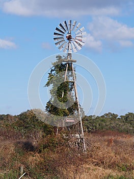 Windmill in Aransas, Tx.