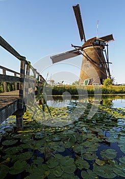 A windmill on the bank of a canal with reeds in Kinderdijk Holland, Netherlands.