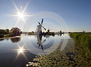 A windmill on the bank of a canal with reeds in Kinderdijk Holland, Netherlands