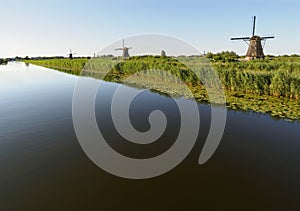 A windmill on the bank of a canal with reeds in Kinderdijk Holland, Netherlands