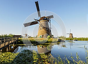 A windmill on the bank of a canal with reeds in Kinderdijk Holland, Netherlands