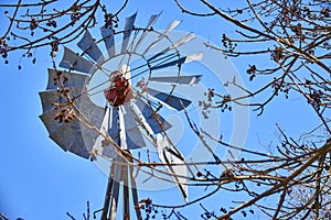 Windmill and Bare Branches Framing Blue Sky, Rural Indiana