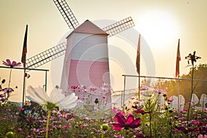 Windmill with beautiful flowers park