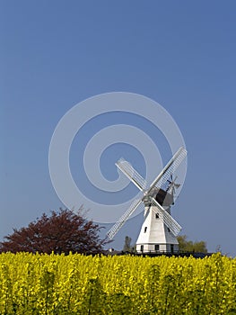 Windmill behind