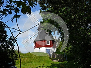 Windmill behind the trees photo