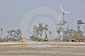 Windmill and birds at bakkhali west bengal india