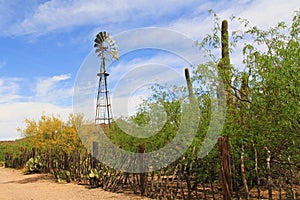 Windmill and Butterfly Garden on La Posta Quemada Ranch in Colossal Cave Mountain Park photo