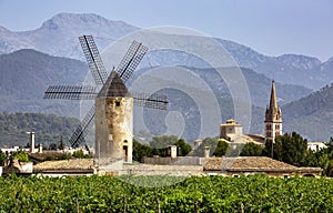 Windmill and church, vineyards, Binissalem, Serra de Tramuntana, UNESCO World Heritage, Majorca