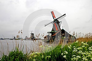 Windmill of neitherland