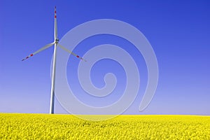 Windmill conceptual image.