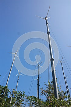 Windmill converts the energy of wind