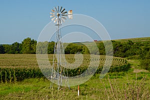 Windmill & Cornfield