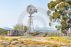 Windmill, dam and a kraal photo