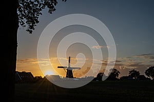 Windmill De Bataaf in the evening sun