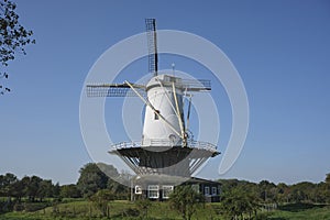 Veterný mlyn krava v pomník. holandsko 
