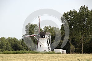 Windmill The Deer (Het hert) in Oudendijke