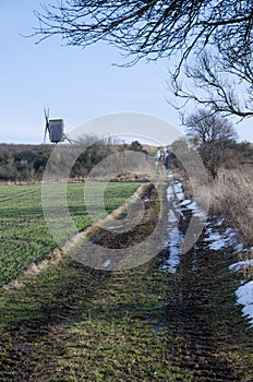 Windmill at a dirt road in springtime