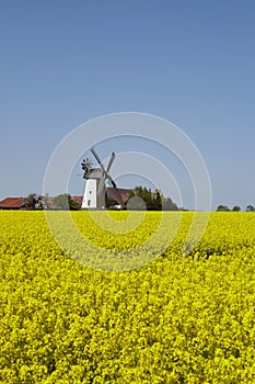 Windmill Eickhorst Hille