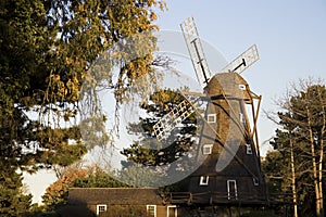 Windmill in Elmhurst