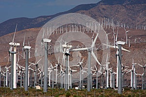 Windmill farm