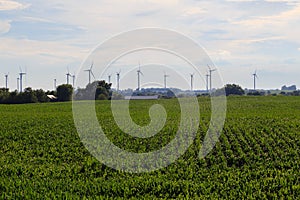 Windmill Farm