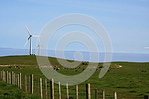 Windmill farm