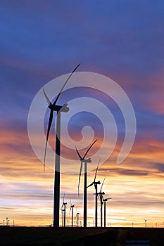 Windmill Farm along the Eastern Plains, Colorado