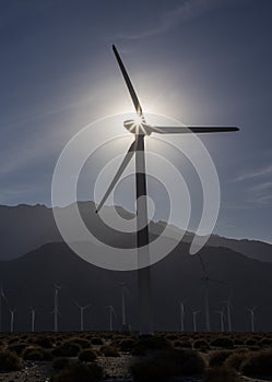 Windmill farm at Palm Springs