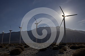 Windmill farm at Palm Springs in California