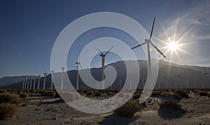 Windmill farm in Palm Springs, California