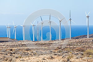 Windmill farm on Tenerife coast of atlantic ocean